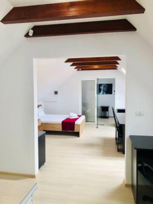 Joy City Stay Unirii 41 2 Timisoara Bagian luar foto